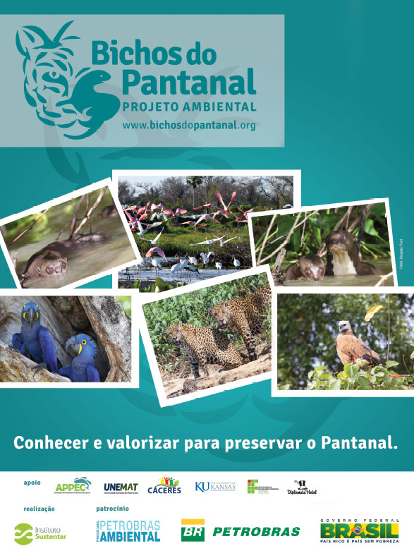 banner instituto sustentar