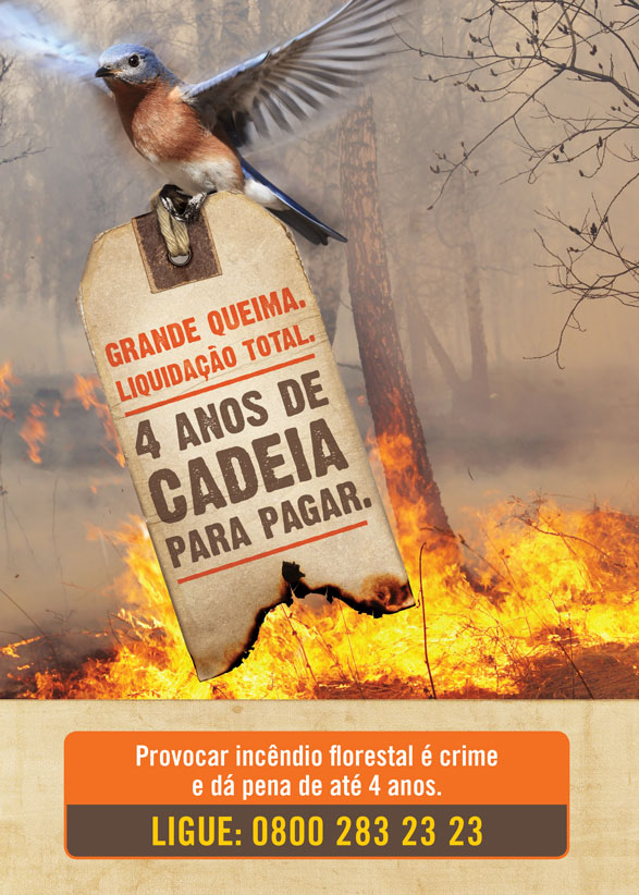 flyer_prev_incendio_frente