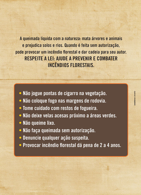 flyer_prev_incendio_verso